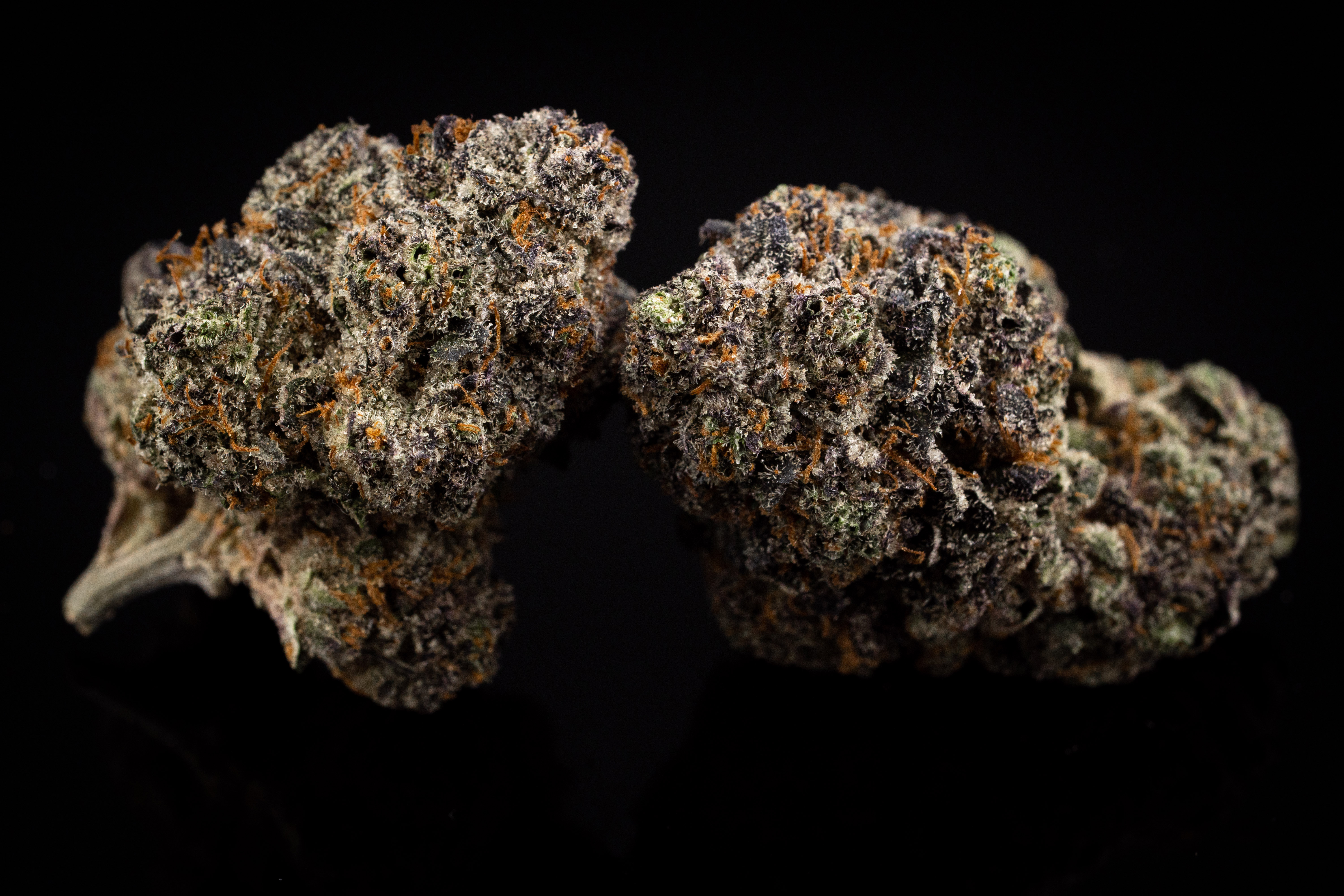 Joker Candy