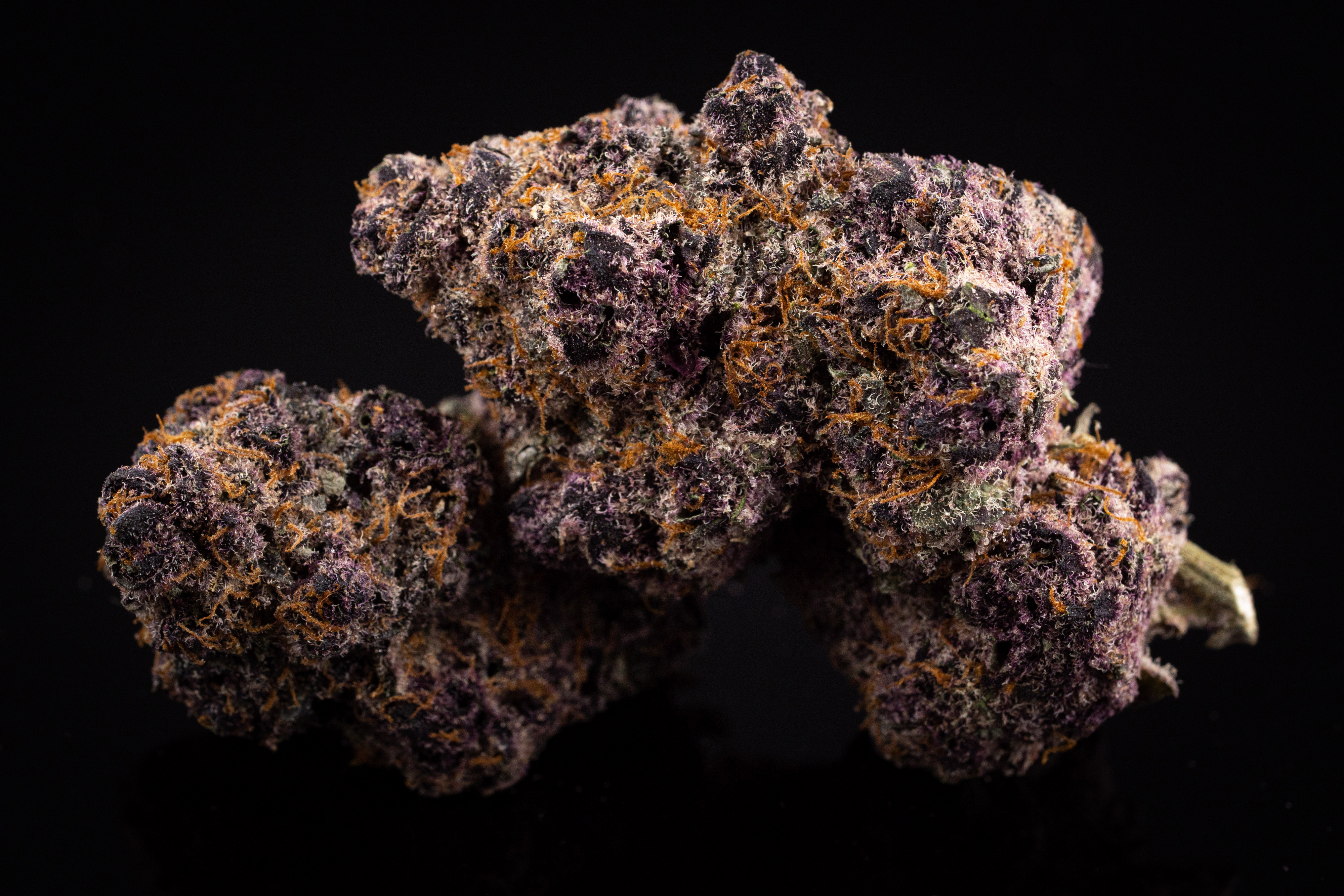Tropicana Cherry