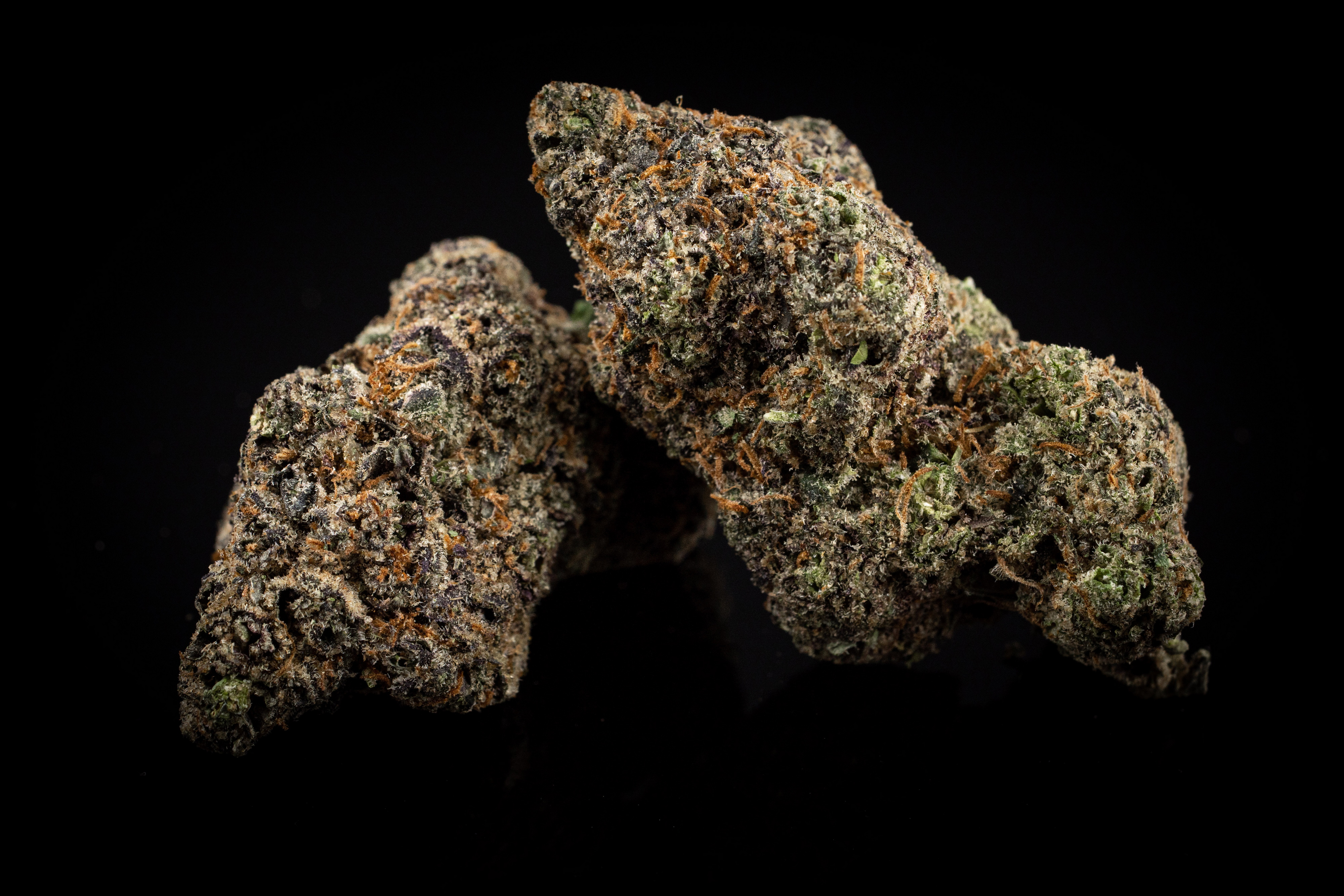 V6 Haze